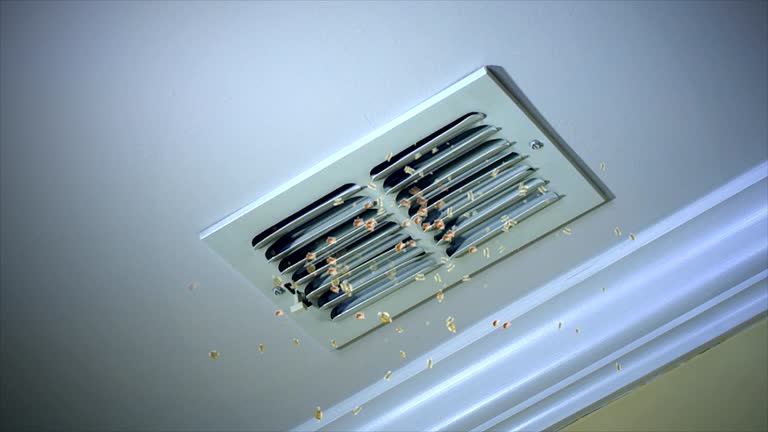 Best Air Duct Cleaning Near Me  in Coram, NY