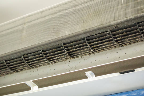 Best Residential Air Duct Cleaning  in Coram, NY